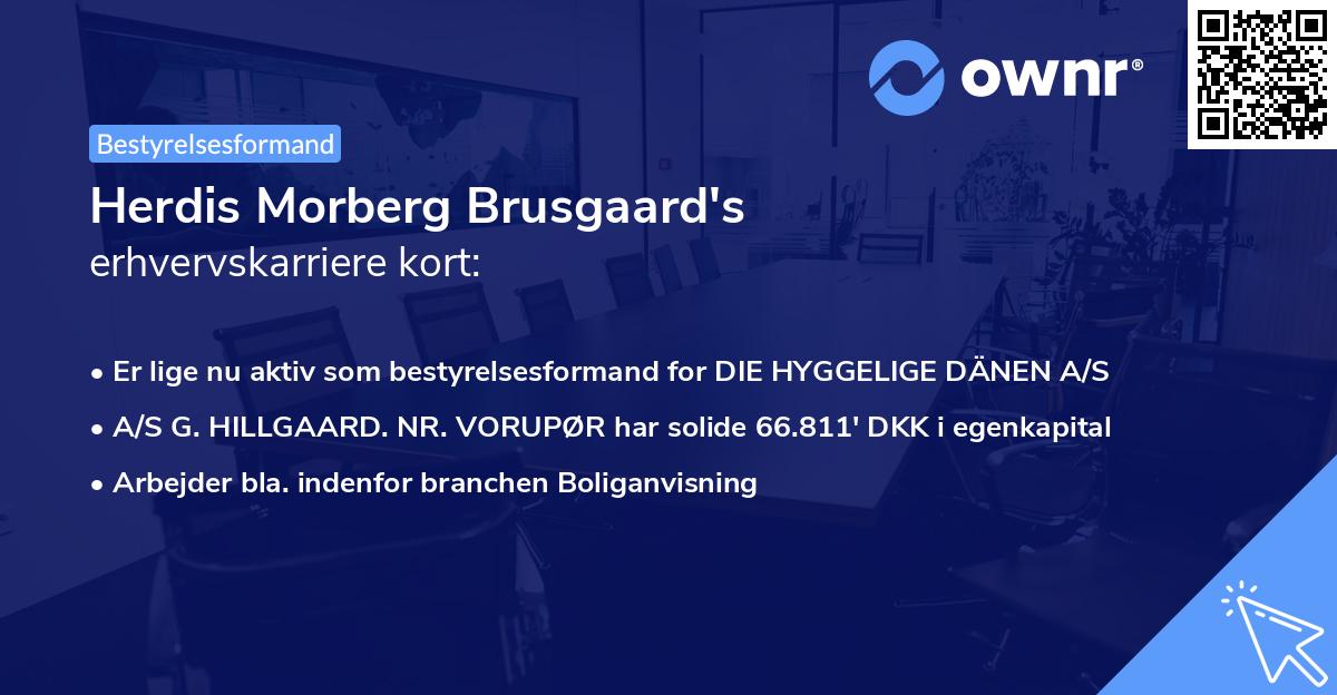 Herdis Morberg Brusgaard's erhvervskarriere kort