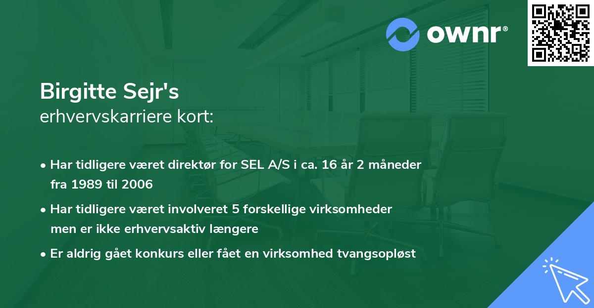 Birgitte Sejr's erhvervskarriere kort