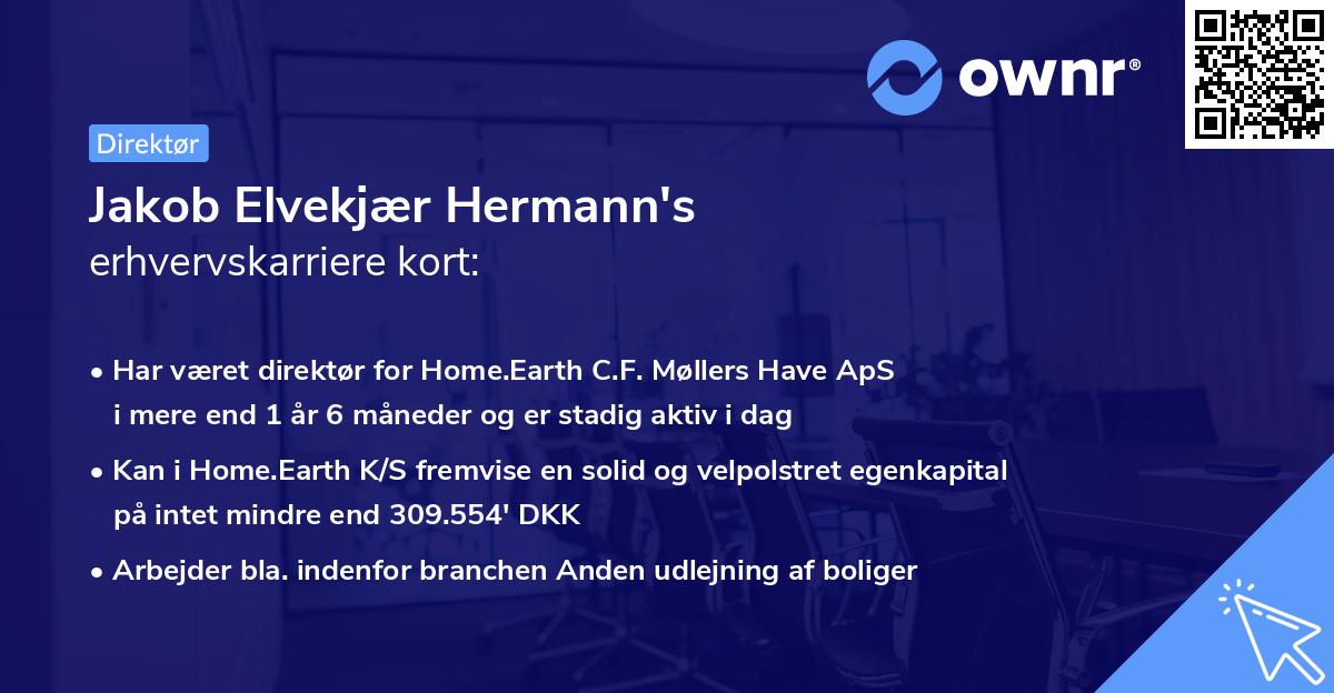 Jakob Elvekjær Hermann's erhvervskarriere kort
