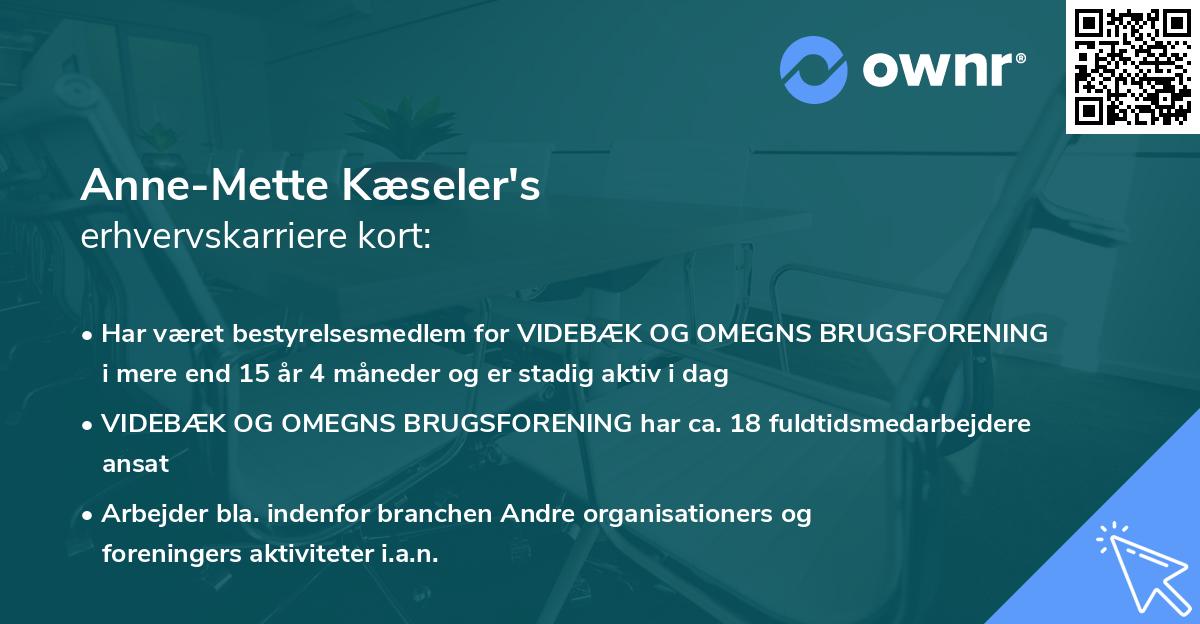 Anne-Mette Kæseler's erhvervskarriere kort