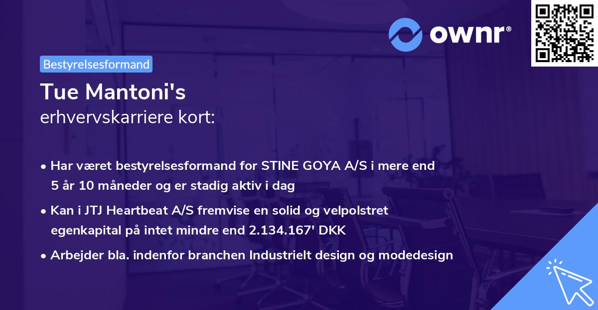 Tue Mantoni's erhvervskarriere kort