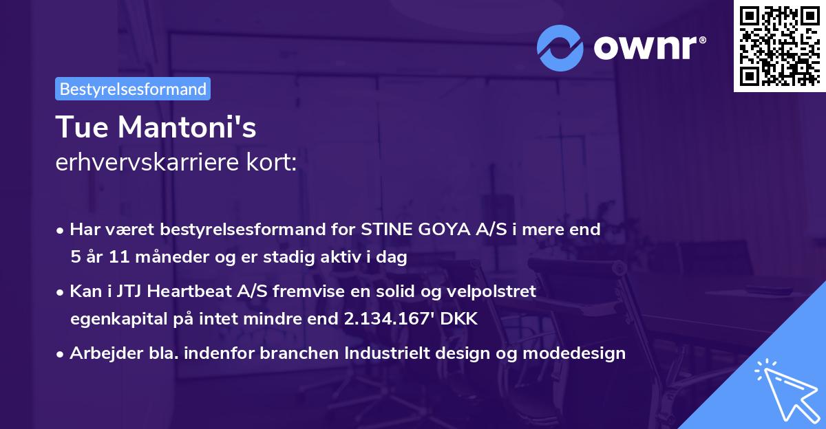 Tue Mantoni's erhvervskarriere kort