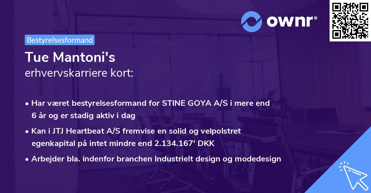 Tue Mantoni's erhvervskarriere kort