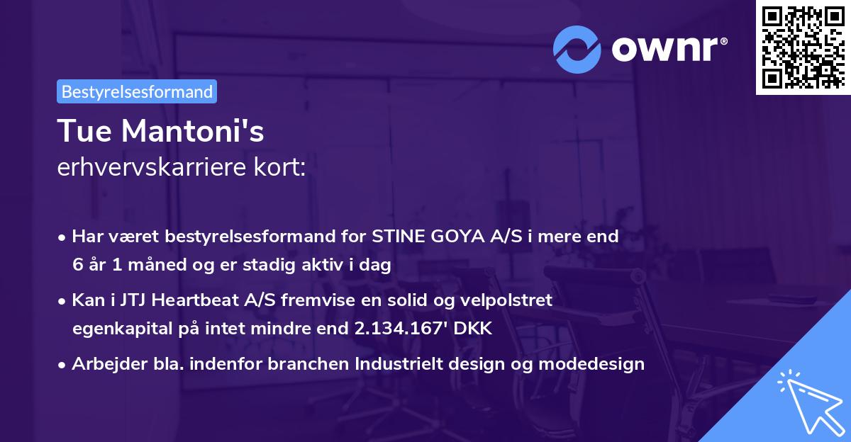 Tue Mantoni's erhvervskarriere kort