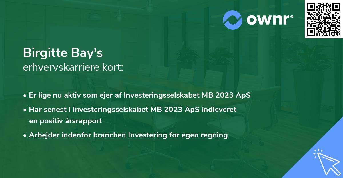 Birgitte Bay's erhvervskarriere kort