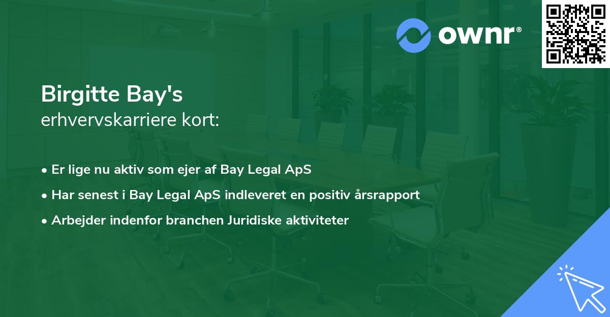 Birgitte Bay's erhvervskarriere kort