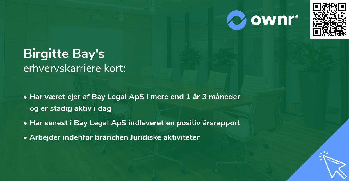 Birgitte Bay's erhvervskarriere kort