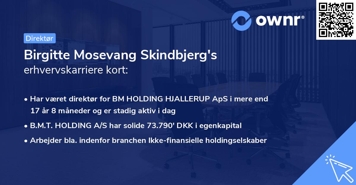 Birgitte Mosevang Skindbjerg's erhvervskarriere kort