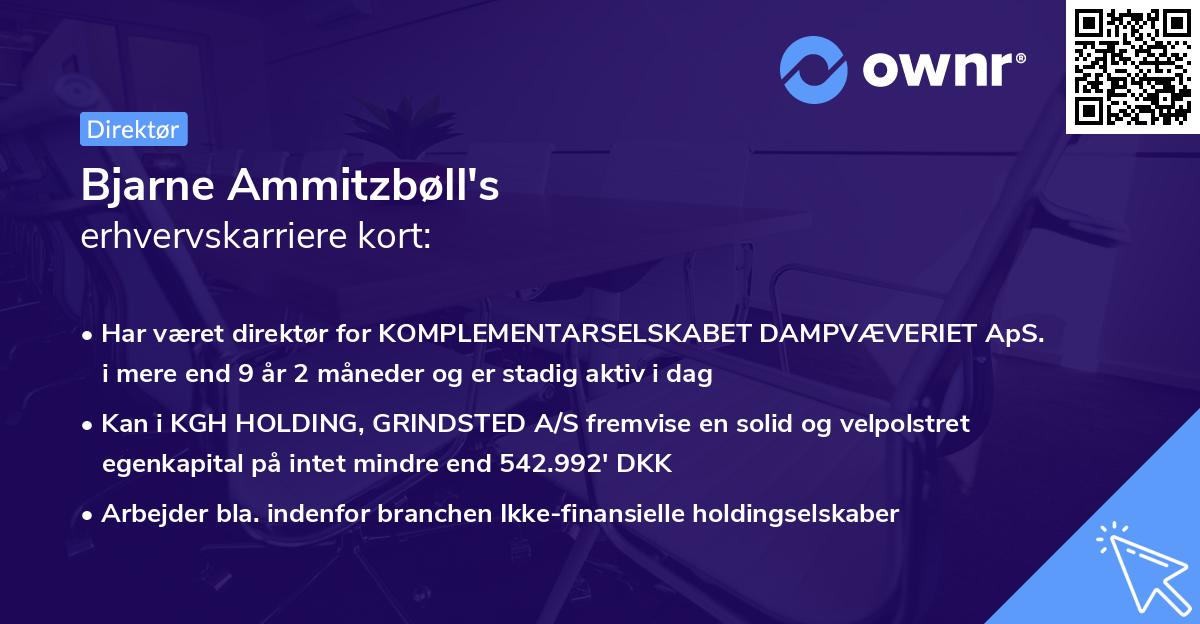 Bjarne Ammitzbøll's erhvervskarriere kort