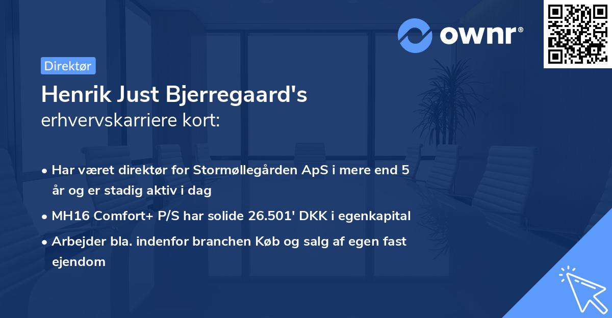 Henrik Just Bjerregaard's erhvervskarriere kort