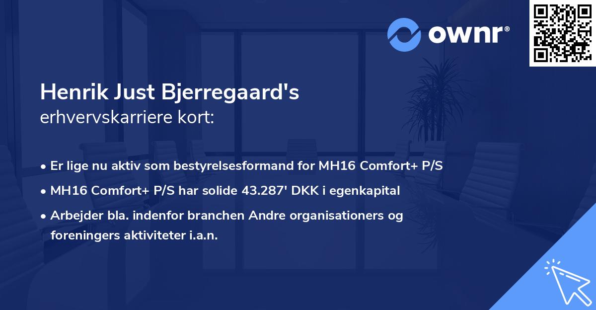 Henrik Just Bjerregaard's erhvervskarriere kort