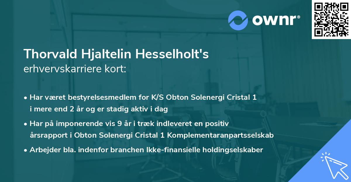 Thorvald Hjaltelin Hesselholt's erhvervskarriere kort