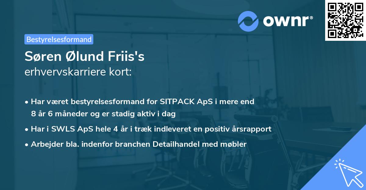 Søren Ølund Friis's erhvervskarriere kort