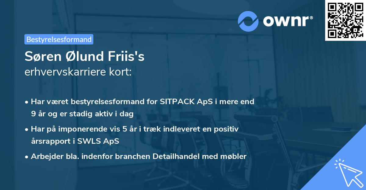 Søren Ølund Friis's erhvervskarriere kort