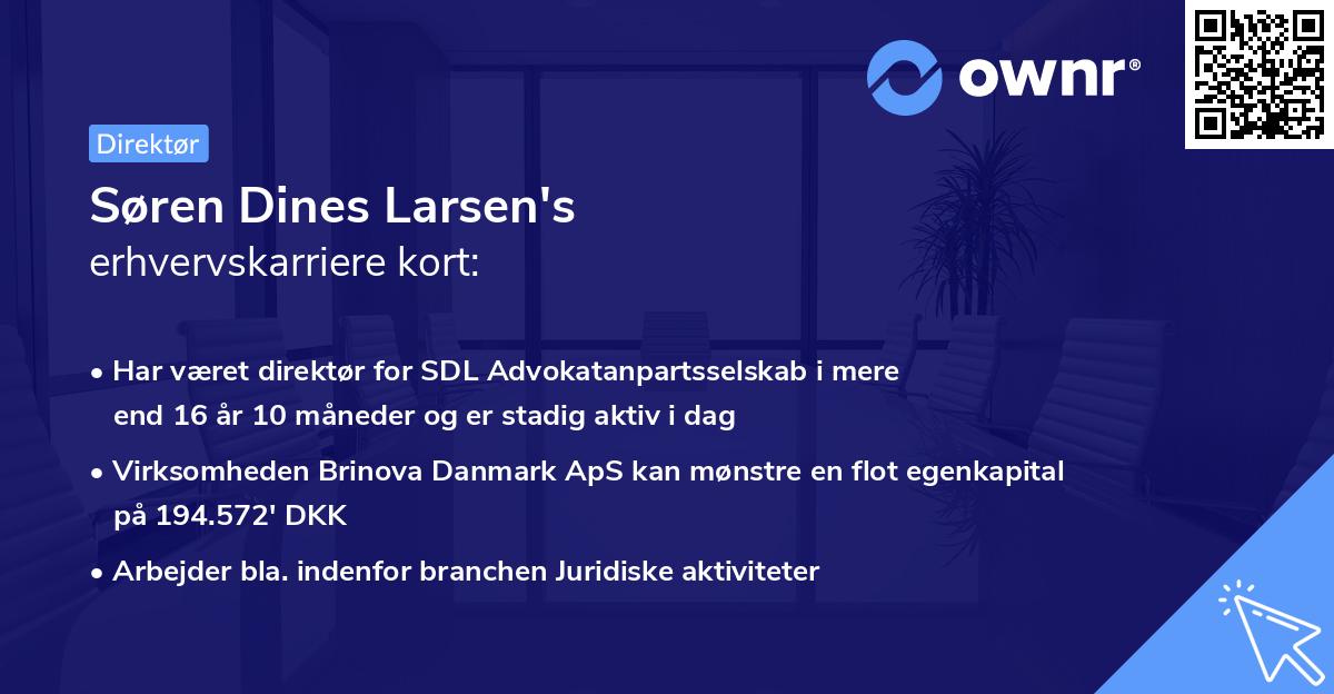 Søren Dines Larsen's erhvervskarriere kort