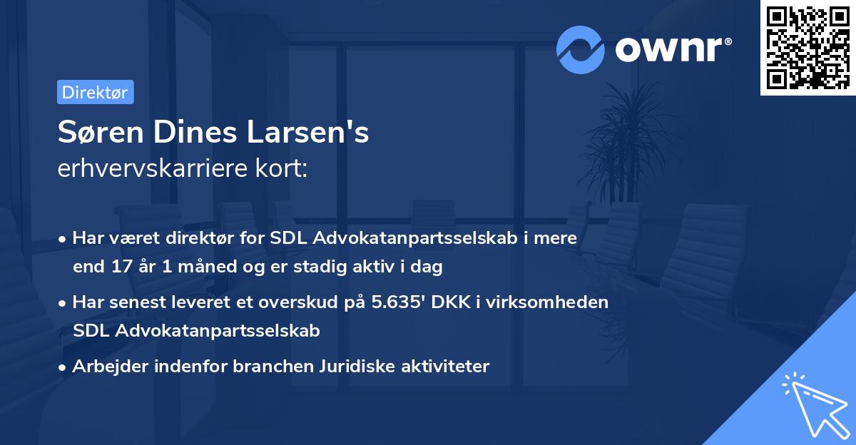 Søren Dines Larsen's erhvervskarriere kort