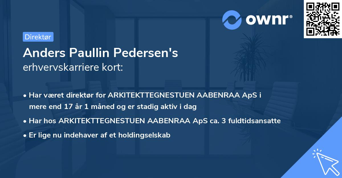 Anders Paullin Pedersen's erhvervskarriere kort