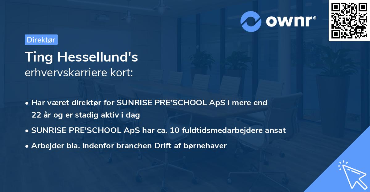 Ting Hessellund's erhvervskarriere kort