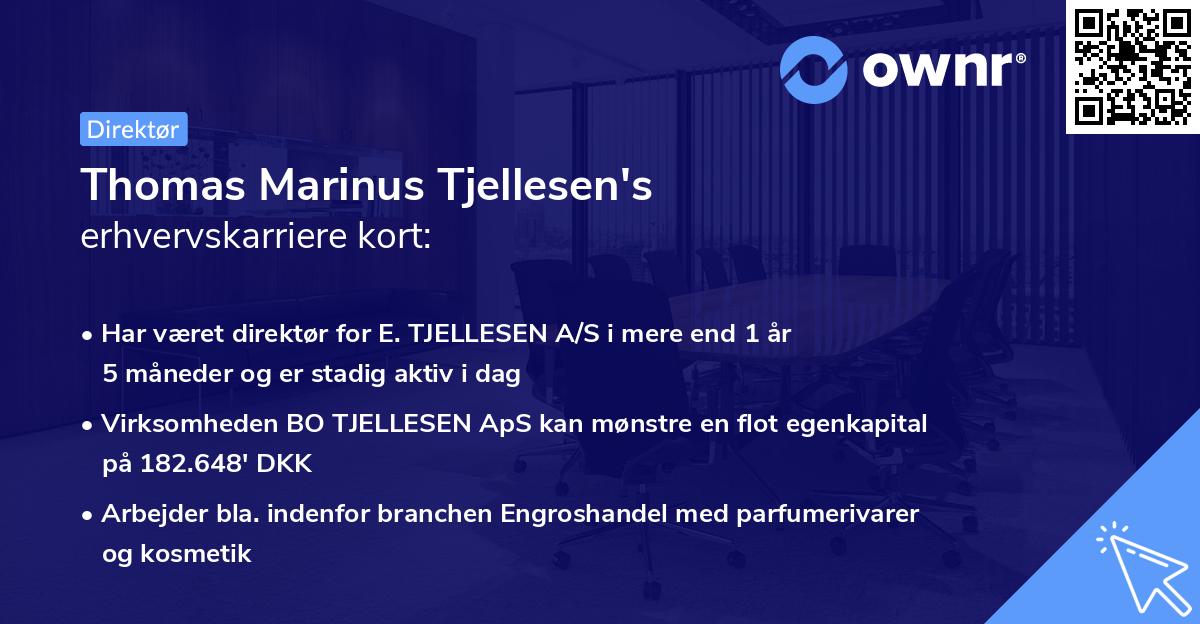 Thomas Marinus Tjellesen's erhvervskarriere kort