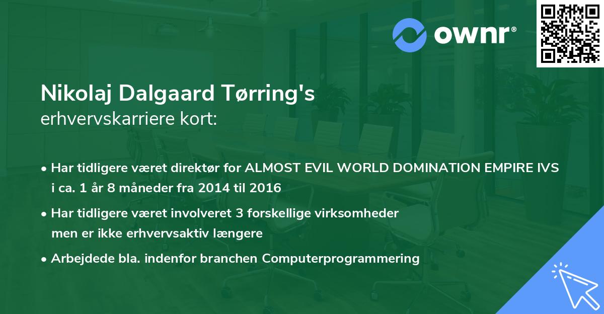 Nikolaj Dalgaard Tørring's erhvervskarriere kort