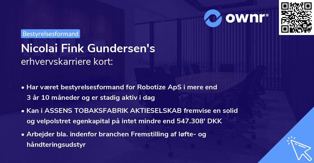 Nicolai Fink Gundersen's erhvervskarriere kort