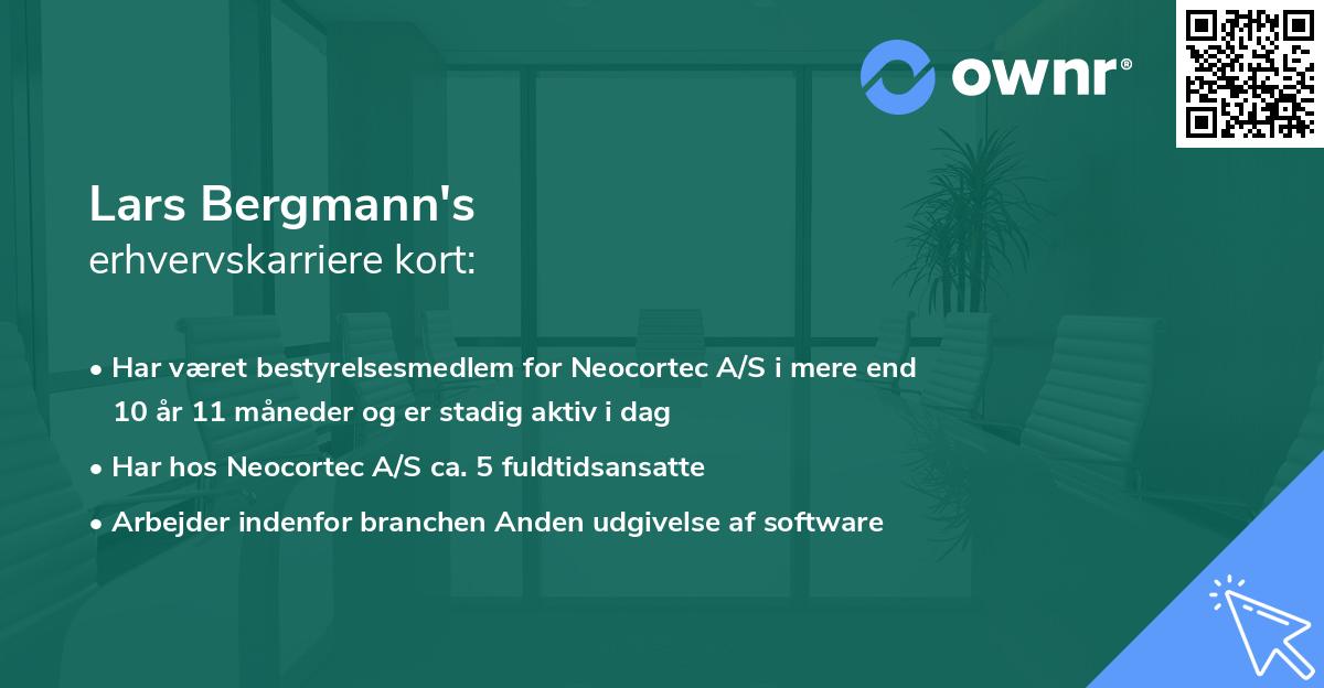 Lars Bergmann's erhvervskarriere kort