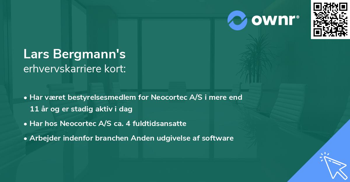 Lars Bergmann's erhvervskarriere kort