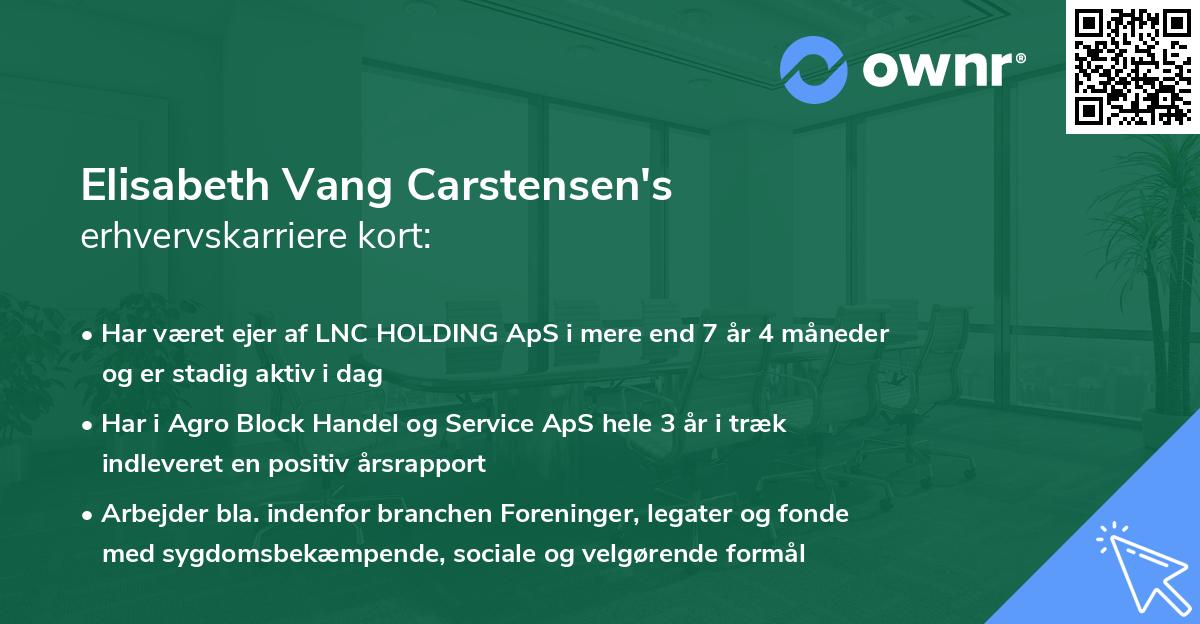 Elisabeth Vang Carstensen's erhvervskarriere kort