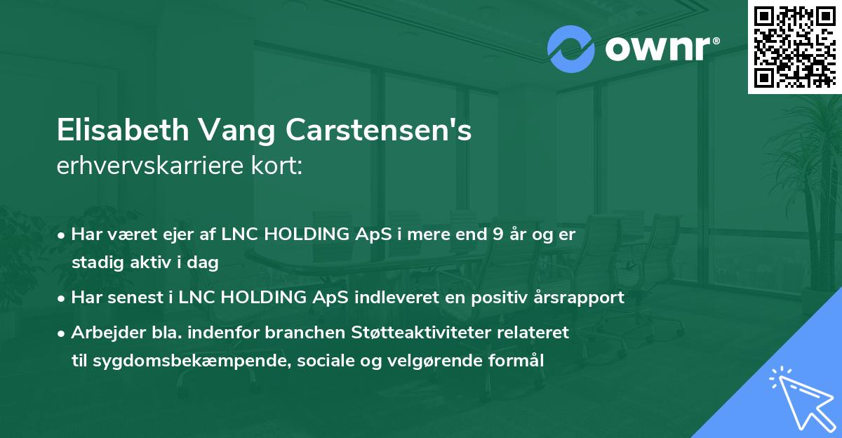 Elisabeth Vang Carstensen's erhvervskarriere kort