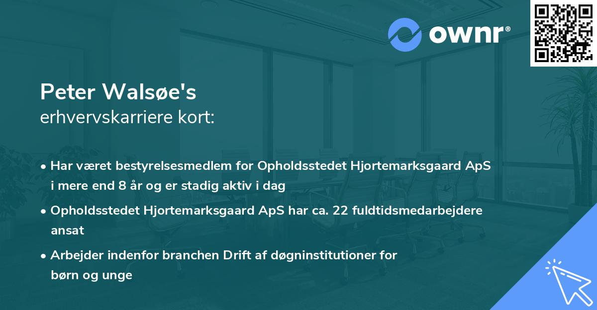 Peter Walsøe's erhvervskarriere kort