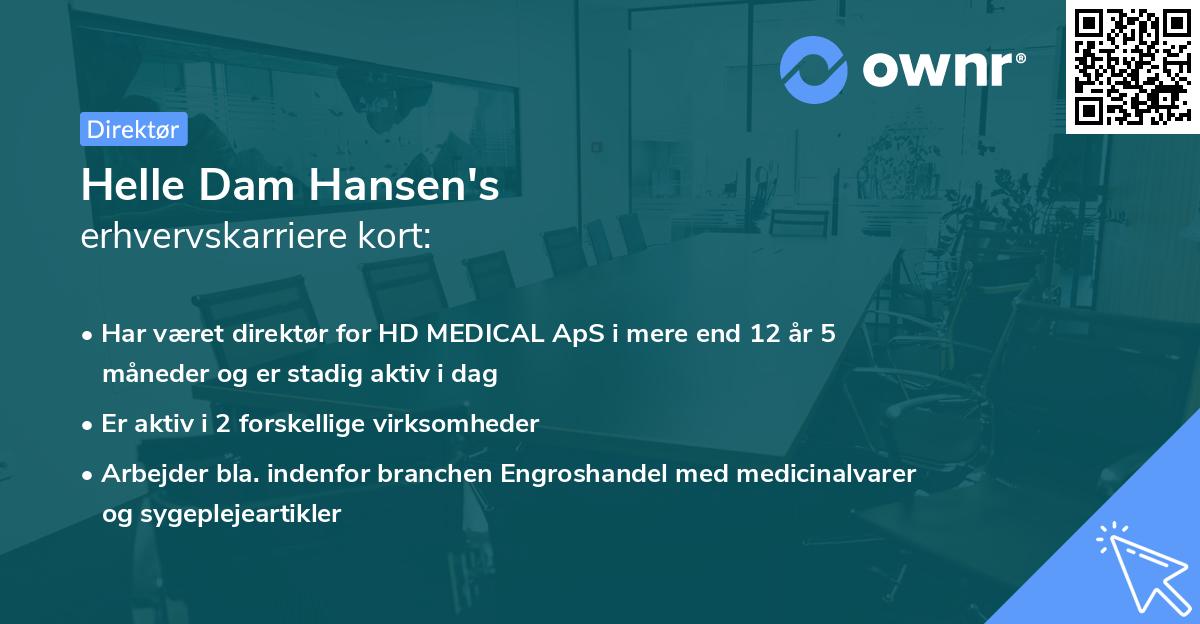 Helle Dam Hansen's erhvervskarriere kort