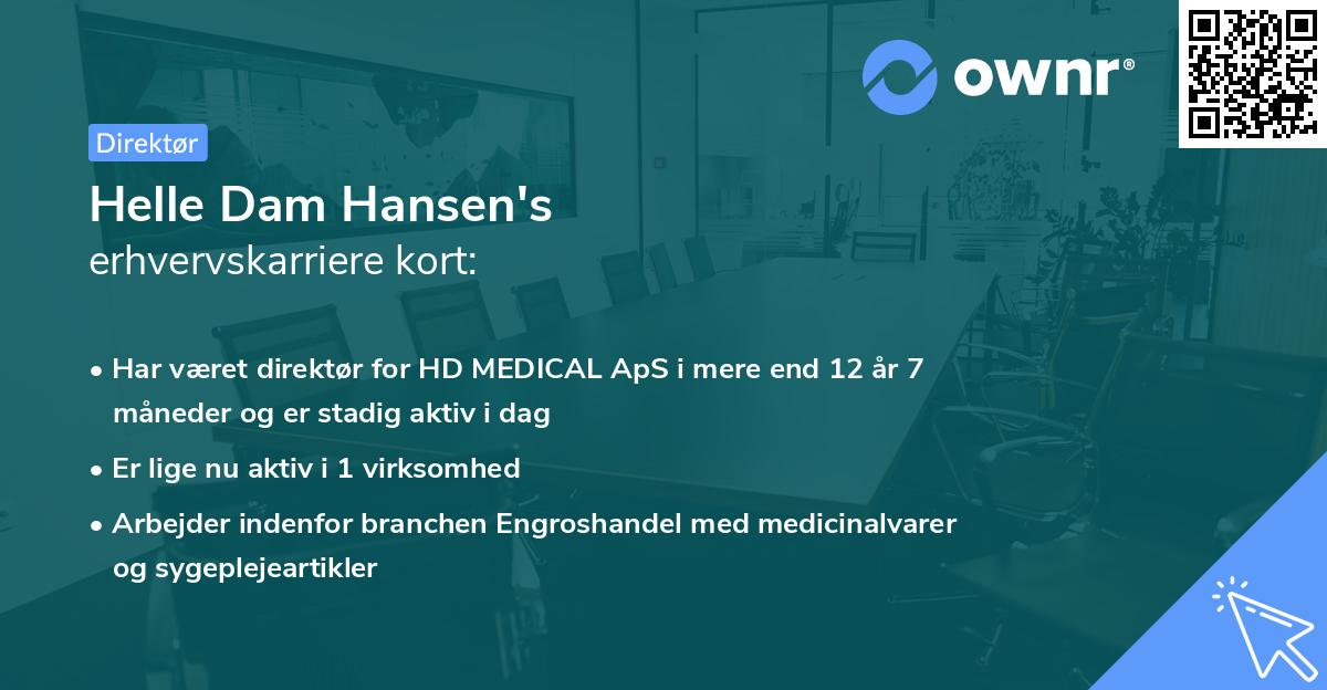 Helle Dam Hansen's erhvervskarriere kort