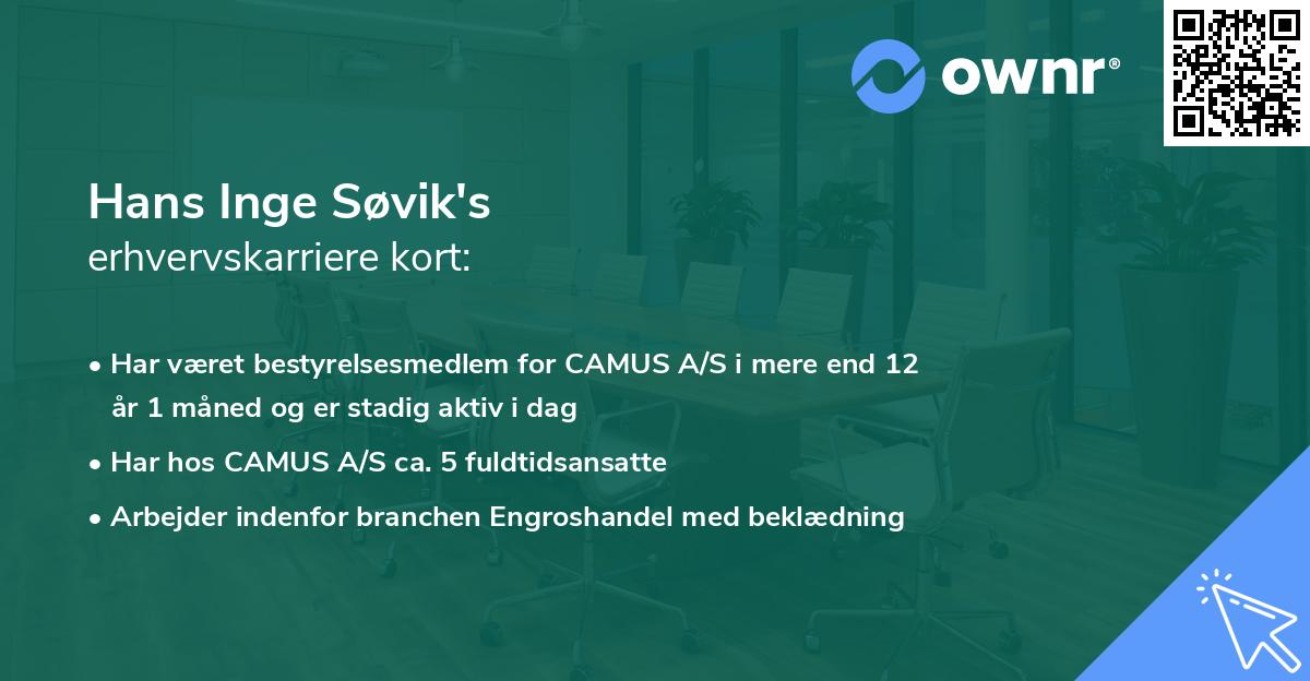Hans Inge Søvik's erhvervskarriere kort