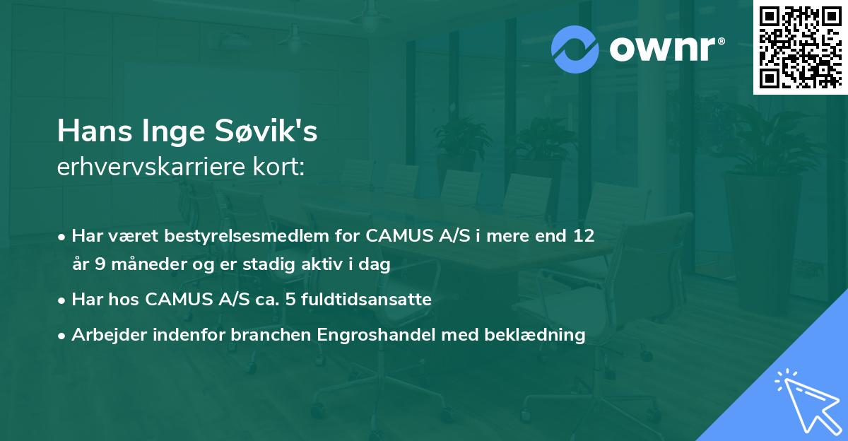 Hans Inge Søvik's erhvervskarriere kort