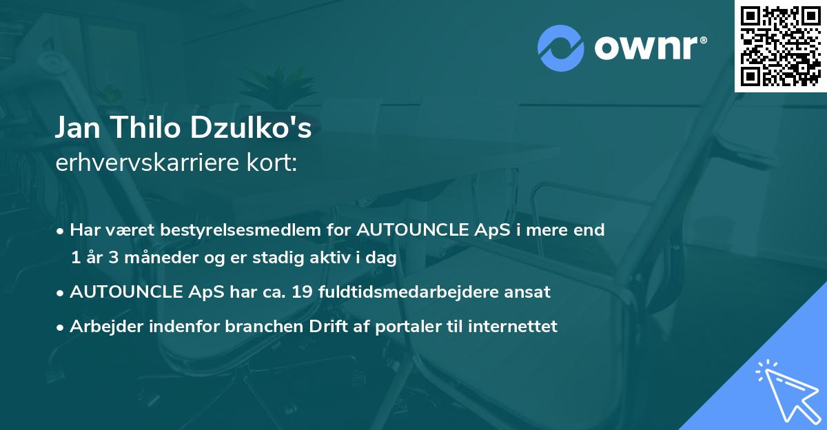 Jan Thilo Dzulko's erhvervskarriere kort