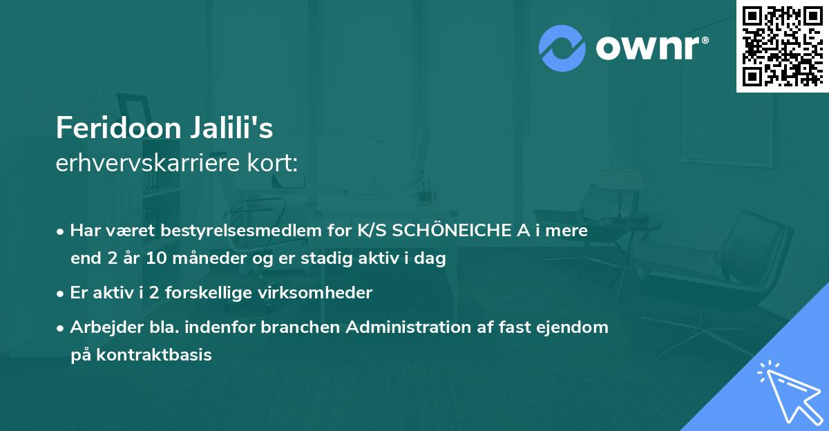 Feridoon Jalili's erhvervskarriere kort