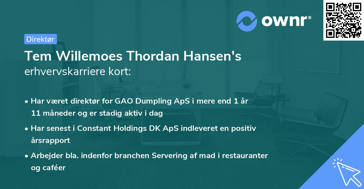 Tem Willemoes Thordan Hansen's erhvervskarriere kort