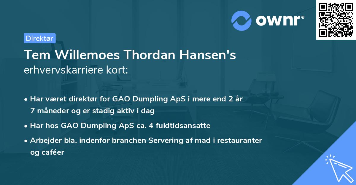 Tem Willemoes Thordan Hansen's erhvervskarriere kort