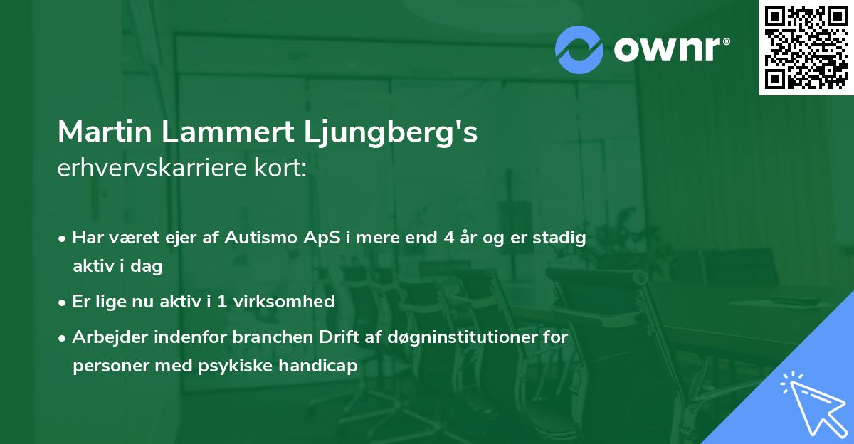 Martin Lammert Ljungberg's erhvervskarriere kort