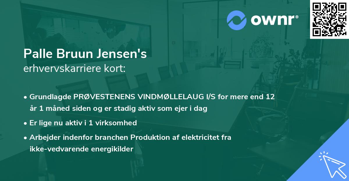 Palle Bruun Jensen's erhvervskarriere kort