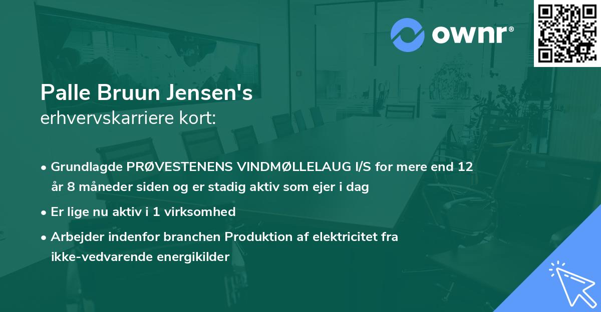 Palle Bruun Jensen's erhvervskarriere kort