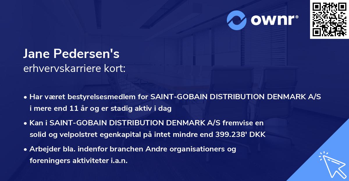 Jane Pedersen's erhvervskarriere kort