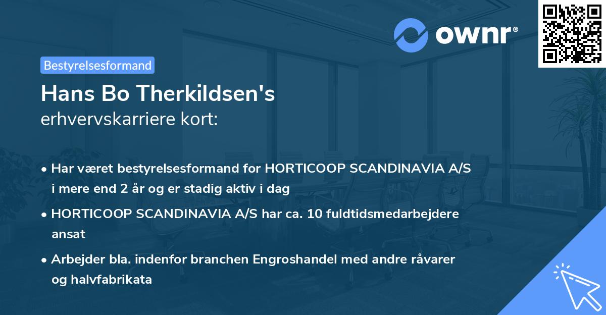 Hans Bo Therkildsen's erhvervskarriere kort