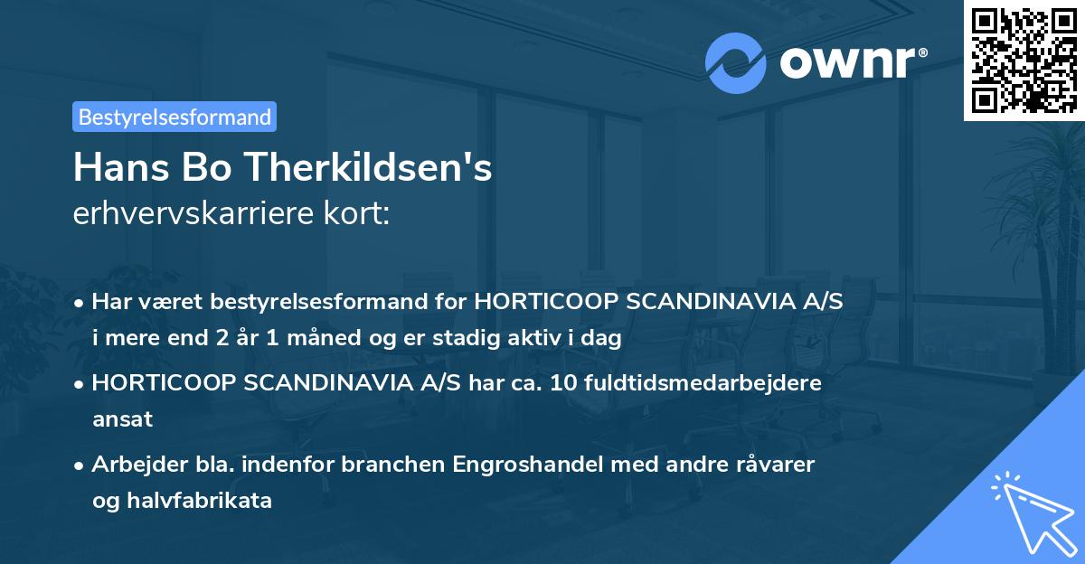 Hans Bo Therkildsen's erhvervskarriere kort