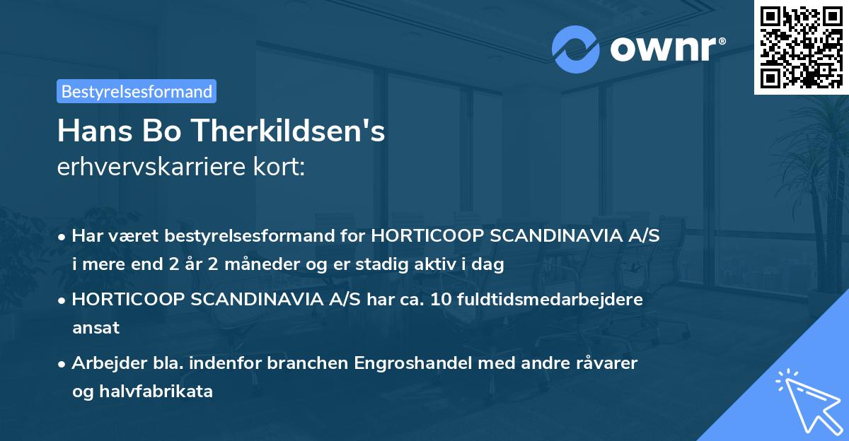 Hans Bo Therkildsen's erhvervskarriere kort