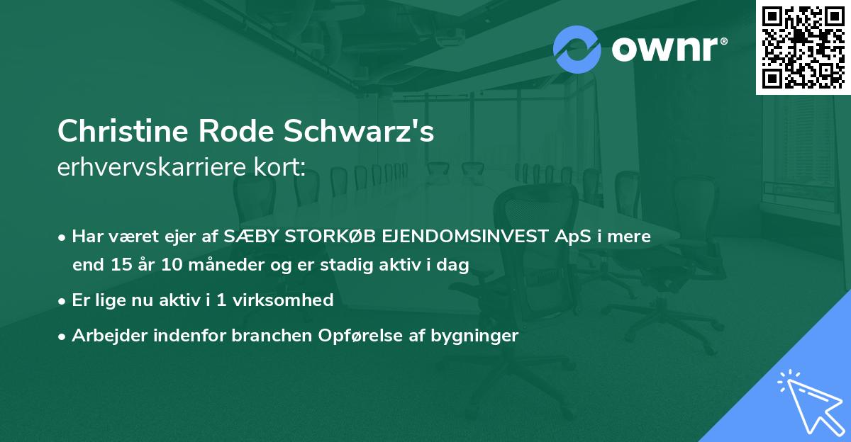 Christine Rode Schwarz's erhvervskarriere kort