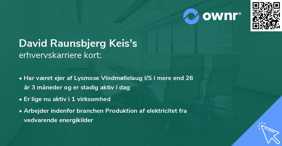 David Raunsbjerg Keis's erhvervskarriere kort