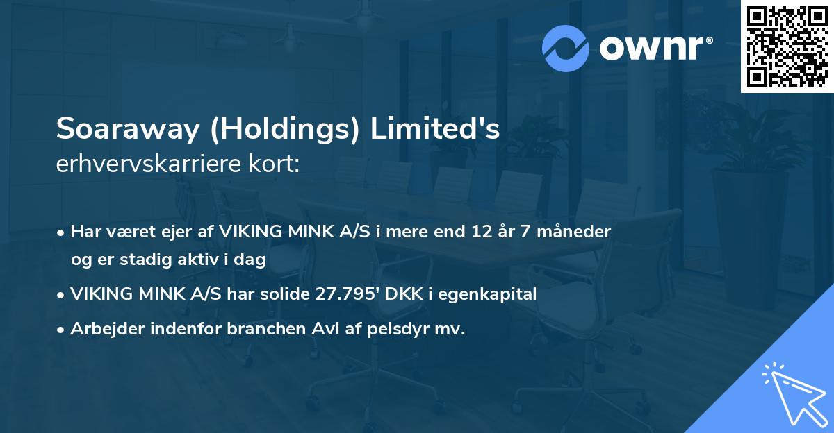 Soaraway (Holdings) Limited's erhvervskarriere kort