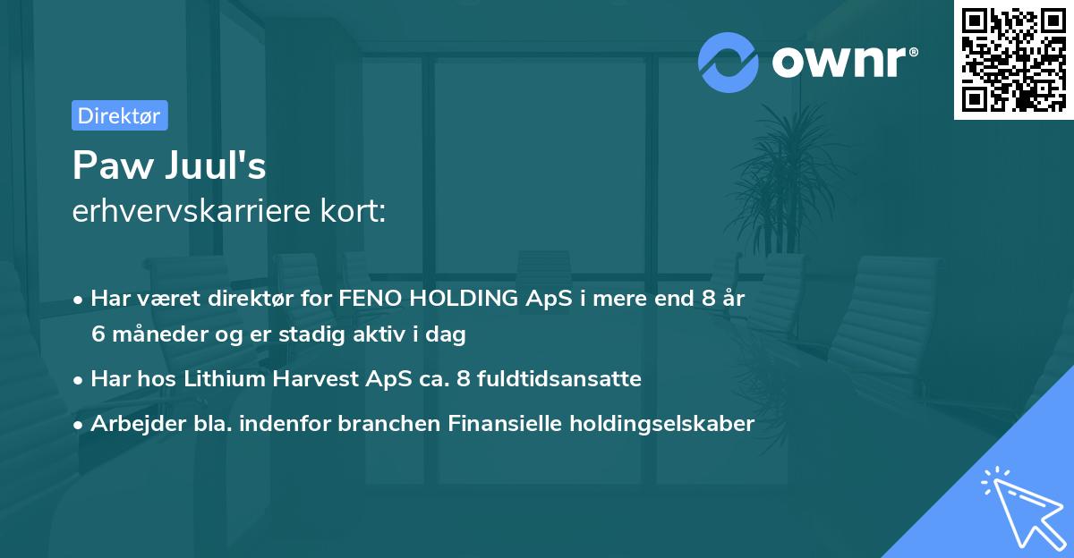 Paw Juul's erhvervskarriere kort