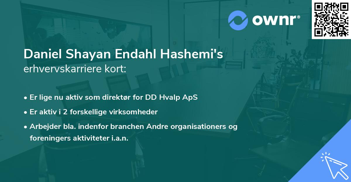 Daniel Shayan Endahl Hashemi's erhvervskarriere kort